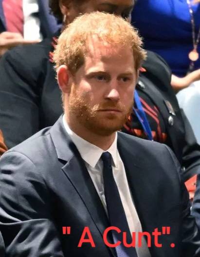 1_NEW-YORK-UNITED-NATIONS-PRINCE-HARRY-peace.jpg