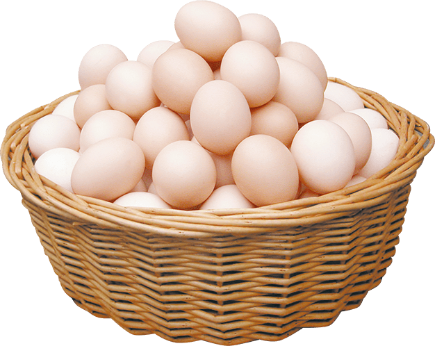 chicken-egg-century-egg-egg-dd52a411eaa20c08e03497b4b3a3a3ca (1).png