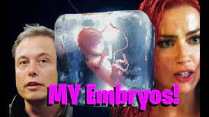 embryo.jpg