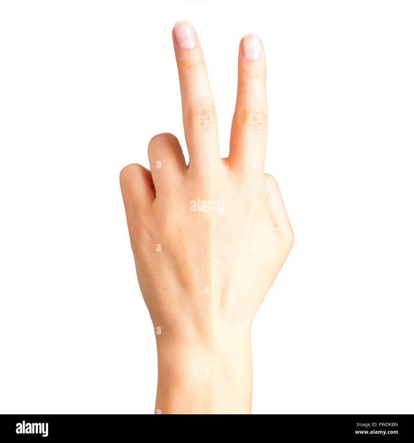 female-hand-showing-two-fingers-up-in-the-peace-or-victory-symbol-isolated-with-clipping-path-...jpg