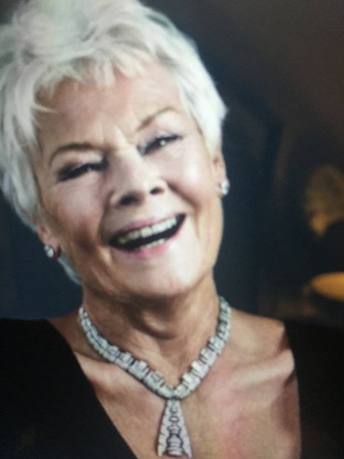 Judy Dench.jpeg