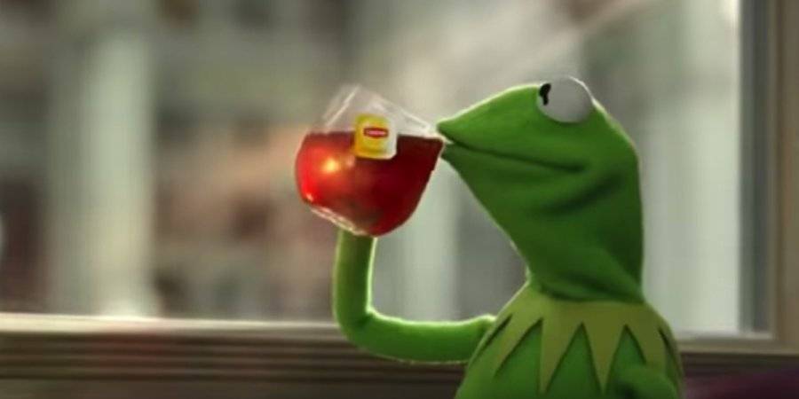 kermit-tea-meme-history-meaning.jpg