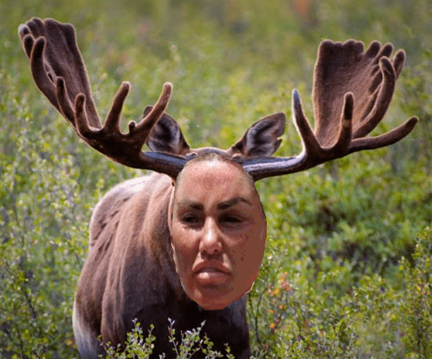 moose.png