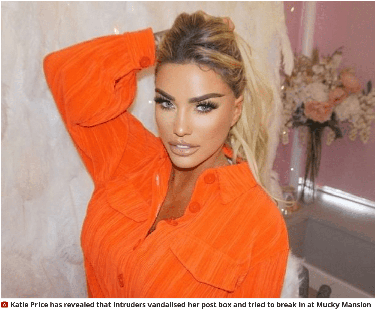 Screenshot 2022-10-27 at 13-14-32 Katie Price furious after Mucky Mansion is vandalised and pa...png