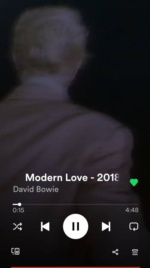 Screenshot_20220422-120018_Spotify.jpg