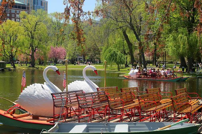 Swan Boats.jpg