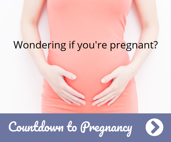 www.countdowntopregnancy.com